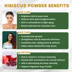 Buy Mystiq Living Hibiscus Powder (100 Gm) for hair mask, face mask or pack, Pure Gudhal Powder, Organic Hibiscus Flower Powder for dull hair & dry scalp 100% Natural - Purplle