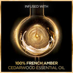 Buy L'Oreal Paris Extraordinary Oil Smooth Shampoo (Paraben & Silicone Free) 440ml | Nourishing Shampoo for Smooth & Straight Frizz-Free hair | With Precious Essential Oils - Purplle