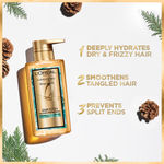 Buy L'Oreal Paris Extraordinary Oil Smooth Shampoo (Paraben & Silicone Free) 440ml | Nourishing Shampoo for Smooth & Straight Frizz-Free hair | With Precious Essential Oils - Purplle