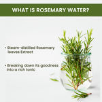 Buy Alps Goodness Rosemary Water Refill Pack (305 ml) | Boosts Hair Growth | Reduces Hair Fall | Hair Spray for Hair Growth | Viral Rosemary Water - Purplle