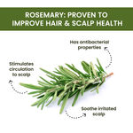 Buy Alps Goodness Rosemary Water Refill Pack (305 ml) | Boosts Hair Growth | Reduces Hair Fall | Hair Spray for Hair Growth | Viral Rosemary Water - Purplle