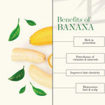 Buy Good Vibes Banana Shine Shampoo + Conditioning, Hair Shine Solution (Free 200 ml Conditioner) - Purplle
