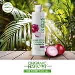 Buy Organic Harvest Hair Loss Control Shampoo For Men/Women with Onion Extracts | Suitable For Hair Loss - Purplle