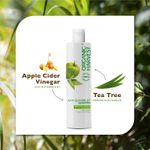 Buy Organic Harvest Anti-Dandruff Shampoo For Men/Women with Apple Cider Vinegar & Tea Tree Extracts 250 ml - Purplle