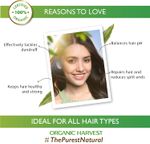 Buy Organic Harvest Anti-Dandruff Shampoo For Men/Women with Apple Cider Vinegar & Tea Tree Extracts 250 ml - Purplle