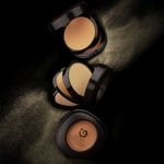 Buy Mattlook Studio Fix Powder Plus Foundation 2 Way Compact, Concealer, Moisturizing , Oil Control, Face Makeup, Give Me Sun (24 gm) - Purplle