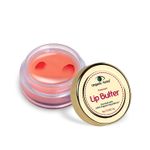 Buy Organic Netra Premium Lip Butter | Moistures Lips | Lips Mask for All Occasions | Perfect for Everyone | Enriched with Organic and Natural Ingredients -8g - Purplle