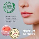 Buy Organic Netra Premium Lip Butter | Moistures Lips | Lips Mask for All Occasions | Perfect for Everyone | Enriched with Organic and Natural Ingredients -8g - Purplle