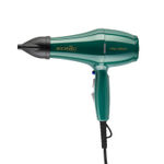 Buy IKONIC PROFESSIONAL PRO 2500+ HAIR DRYER EMERALD - 1 Pc - Purplle