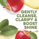Buy OGX Apple Cider Vinegar Clarifying Shampoo for Oily and Greasy Hair, 385 ml - Purplle
