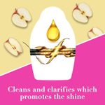 Buy OGX Apple Cider Vinegar Clarifying Shampoo for Oily and Greasy Hair, 385 ml - Purplle