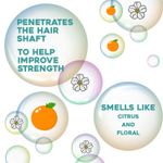 Buy OGX Hair Oil, Renewing + Argan Oil Of Morocco, Penetrating Oil, Dry and Coarse Hair Types, 100 ml - Purplle