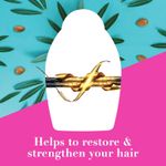 Buy OGX Hair Oil, Renewing + Argan Oil Of Morocco, Penetrating Oil, Dry and Coarse Hair Types, 100 ml - Purplle
