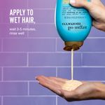 Buy OGX Renewing + Argan Oil of Morocco Hydrating Hair Conditioner, Cold-Pressed Argan Oil to Help Moisturize, Soften & Strengthen Hair, Paraben-Free with Sulfate-Free Surfactants, 385ml - Purplle