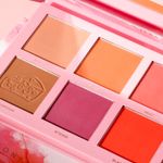 Buy IMAGIC CHEESE PROFESSION 8 COLOR CONTOUR & BLUSH PALETTE FA-136 - Purplle