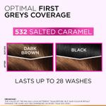 Buy L'Oreal Paris Casting Creme Gloss Hair Color With Glycolic Gloss Complex | Ultra Visible Shade 532 - Salted Caramel | 60ml + 40ml + 60g - Purplle