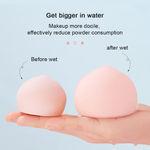 Buy Cuffs N Lashes Makeup Blender/Sponge Fruit Series Peach 1 Pc - Purplle