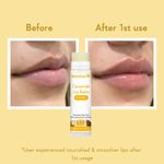 Buy WishCare Ceramide Lip Balm with SPF50 PA+++ - Kojic Acid & Niacinamide - For Brightens & Protects5 gm - Purplle