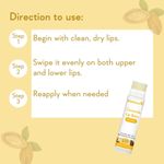 Buy WishCare Ceramide Lip Balm with SPF50 PA+++ - Kojic Acid & Niacinamide - For Brightens & Protects5 gm - Purplle