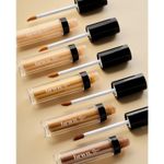 Buy Brwn HD Perfecting Concealer - 10 Teak 4.5 ml - Purplle