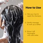 Buy Naturali Damage Repair Shampoo with Moringa Oil & Avocado | Repairs Hair Damage | Paraben and Sulphate Free Shampoo | Best Shampoo for Dry & Frizzy Hair - Purplle