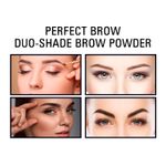 Buy Mattlook Perfect Brow Duo-Shade Brow Powder, Eyebrow Palette, Eye Makeup, Mutlicolor-1 (8 gm) - Purplle