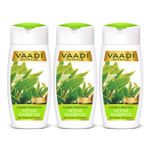 Buy Vaadi Herbals Superbly Smoothing Heena Shampoo with Green Tea Extracts (110 ml x 3) (Pack of 3) - Purplle