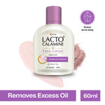 Buy Lacto Calamine Face Lotion Kaolin Clay For Oily Skin(60 ml) - Purplle