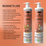 Buy Colorbar Co-Earth Argan Shampoo & Conditioner ( Pack Of 2 ) - Purplle