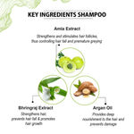 Buy Colorbar Co-Earth Bhringamla Shampoo & Conditioner ( Pack Of 2 ) - Purplle