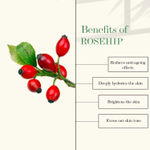 Buy Good Vibes Rosehip Hydrating Glow Face serum (5 ml) - Purplle