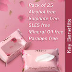 Buy NY Bae Makeup Remover Pack of 2 | Cleansing Facial Wipes | Refreshing | Alcohol Free | Sulphate Free | Paraben Free | Set of 50 Wipes| Makeup Kits | Travel Friendly - Purplle