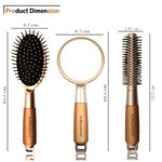 Buy Majestique 3Pcs Hair Brush Set - Detangling Brush, Roller Brush with Handle Mirror suit for Women Men - Purplle
