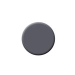 Buy Colorbar Vegan Nail Lacquer - Blind Folded - Purplle