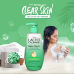 Buy Lacto Calamine Body Wash with 1% Salicylic acid with Cica, Aloevera & Naturally derived scrubbing beads |Exfoliate Rough and Bumpy Skin |Paraben Free, Dermatalogically tested| Suitable for all skin types | 250 ml - Purplle