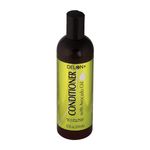 Buy Delon Avocado Oil Conditioner 354ml - Purplle