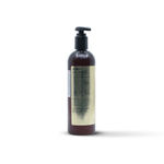 Buy Delon Coconut Oil Body Wash 354ml - Purplle