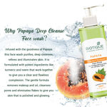 Buy Biotique Bio Papaya Deep  Cleanse Face Wash For All Skin Types (200 ml) - Purplle