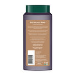 Buy Biotique Bio Walnut Volume & Bounce Shampoo & Conditioner (340 ml) - Purplle