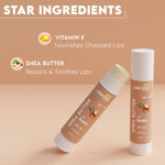 Buy Clensta Shea Butter Lip Healer With Vitamin E Spf 30 With Shea Butter & Vitamin E For Hydrates, Soothes & Nourishes For Women & Men 4.5 gm - Purplle