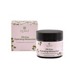 Buy Qurez Oil Free Hydrating Moisturizer, 60 gm - Purplle