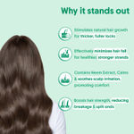 Buy Aravi Organic Rosemary & Biotin Hair Growth Serum | Strengthens Hair & Nourishes Scalp | Promotes Hair Growth & Reduces Hair Fall | Lightweight, Non-Greasy Formula | For Men & Women – 30 ml - Purplle