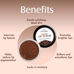 Buy Aravi Organic Coffee Lip Scrub For Brightening Dark Lips With Caffeine, Shea Butter & Cocoa Butter - For Dark,Chapped & Pigmented Lips - For Men and Women - 15 gm - Purplle