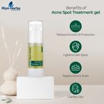 Buy Riyo Herbs Acne Spot Treatment Gel -30 ml - Purplle