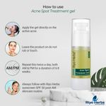 Buy Riyo Herbs Acne Spot Treatment Gel -30 ml - Purplle