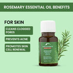 Buy Alps Goodness Rosemary Revive Kit I Rosemary Water Spray+Rosemary Essential Oil + Scalp Massager I Hair Growth Expert I For Skin & Hair I Improves Scalp Health I Fights Acne Combo of 3 - Purplle