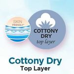 Buy everteen combo: XL 20 Soft & 20 Dry Sanitary Pads Enriched With Neem and Safflower Sanitary Pad (Pack of 40) - Purplle