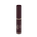 Buy Swiss beauty Non-Transfer Matte Lipstick 25 Choco Kiss 2 gm - Purplle