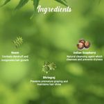 Buy Biotique Fresh Neem Anti Dandruff Shampoo & Conditioner 120 ml - Purplle