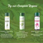 Buy Biotique Fresh Neem Anti Dandruff Shampoo & Conditioner 120 ml - Purplle